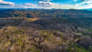 Mineral Bluff